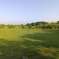 1.1 هکتار زمین مسکونی و باغ و مزروعی جاده لولمان زیباکنار