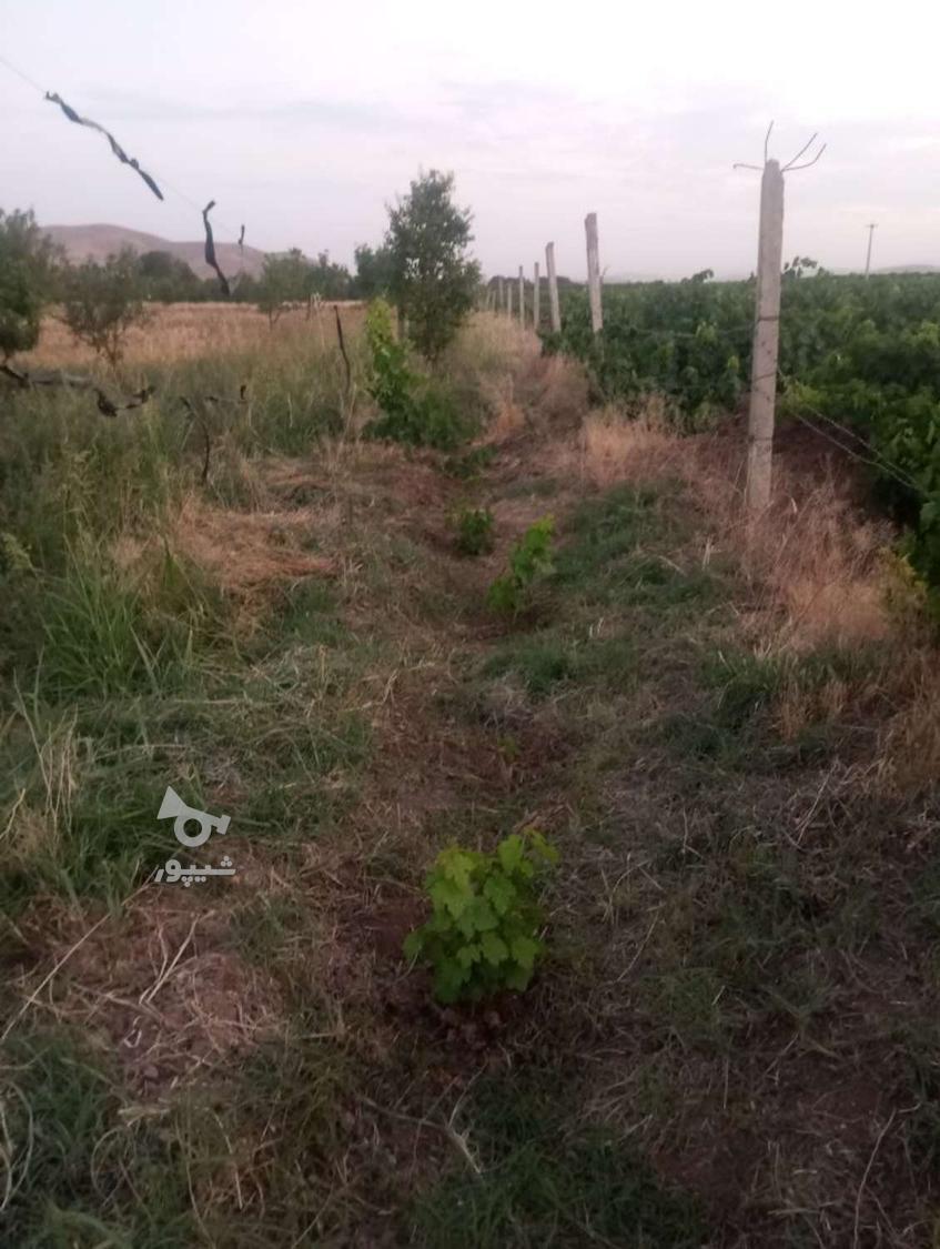 کارگر هستم ماهر در ساختمان و کشاورزی روزی هشتصد - undefined