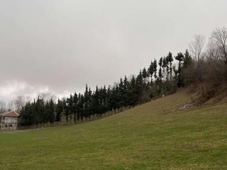 زمین مسکونی1000متری روستای کلایه رحمت آباد