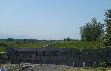 فروش زمین کشاورزی 2500 متر در عباسا