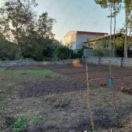 زمین مسکونی421متری درکوشالشاه لنگرود