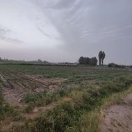 زمین کشاورزی هشتگرد ساوجبلاغ روستای گردشگری ایقربلاغ