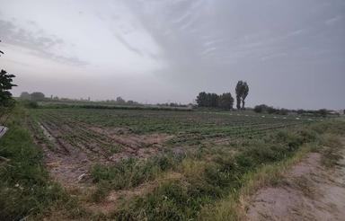 زمین کشاورزی هشتگرد ساوجبلاغ روستای گردشگری ایقربلاغ