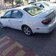 ماکسیما بی رنگ 84