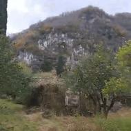 فروش زمین ویلایی و باغی خط یک جنگل نوشهر6000متر