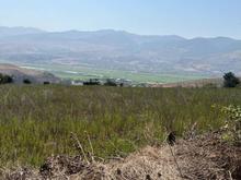 فروش زمین کشاورزی 10000 متر در شیرکوه در شیپور