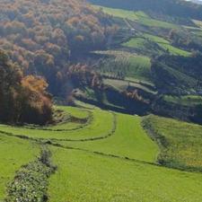 2,500 متری در میاندرودداربکلا