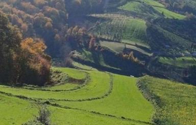 2,500 متری در میاندرودداربکلا