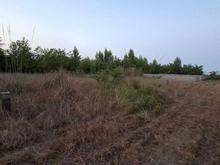 فروش زمین 290 متر باغی در حسین آباد رودسر در شیپور