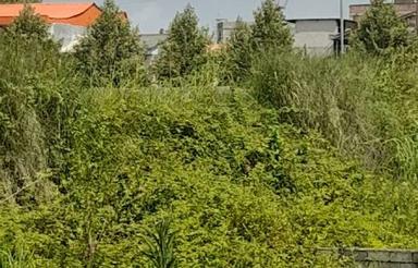 فروش خانه و کلنگی 260 متر در خیابان هراز