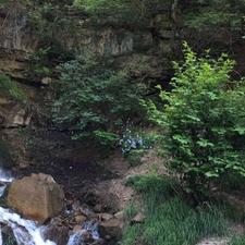 فروش زمین زیر قیمت مسکونی 1000 متر در شهنه کلا ویو جنگل