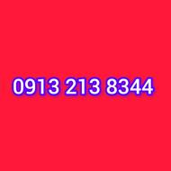 09132138344