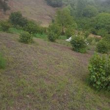 زمین مسکونی 2800 متر دراشکورات/ روستا شوک