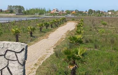 فروش زمین 160 متری سرمایه گذاری روبروی خانه دریا