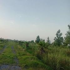 فروش فوری250متر زمین سند تکبرگ شرایط اقساط