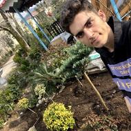 اجرای فضای سبز قیمت منصفانه