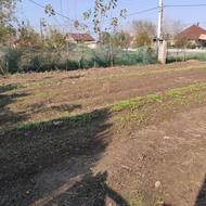 زمین مسکونی700متری با قابلیت ساخت رودبنه