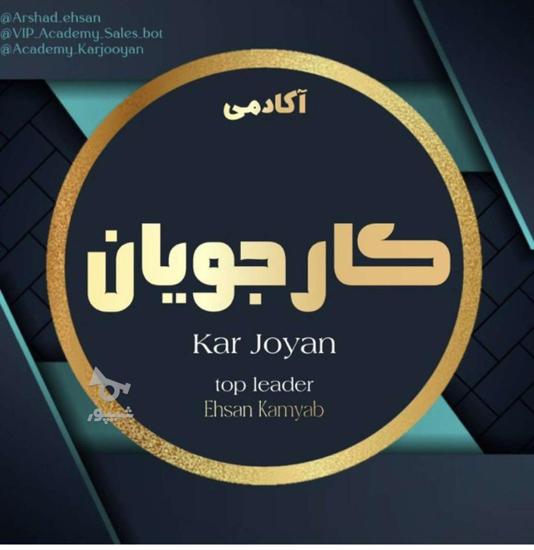 کار در منزل - نگار شریعتی