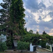 سرمایه گذاری ⭕️ فرصت استثنایی و تکرارنشدنی دریاکنار