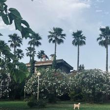 ویلا شهرک دریاکنار خیابانهای فرد لوکیشن قوی 380متر