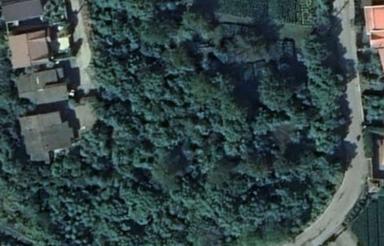 فروش زمین مسکونی 5600 متر مناسب شهرک سازی تنکابن