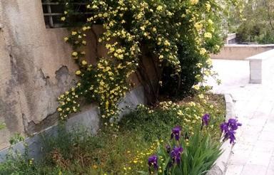 فروش ویلا 500 متر در کردان