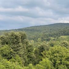 فروش زمین جفت بافت در قیمت شکار در شکتا