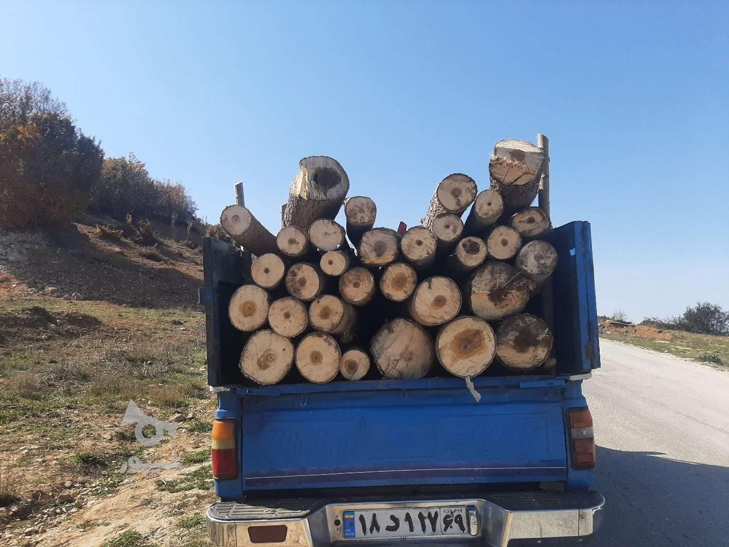 خرید چوب باغی وساختمانی