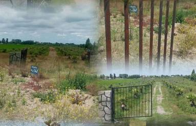 فروش زمین مسکونی 200 متری روبه روی خانه دریا