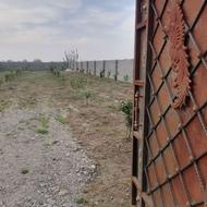 فروش زمین مسکونی 1000 متر در اسماعیل کلا بزرگ