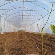 نصب گلخانه با شرایط اقساطی