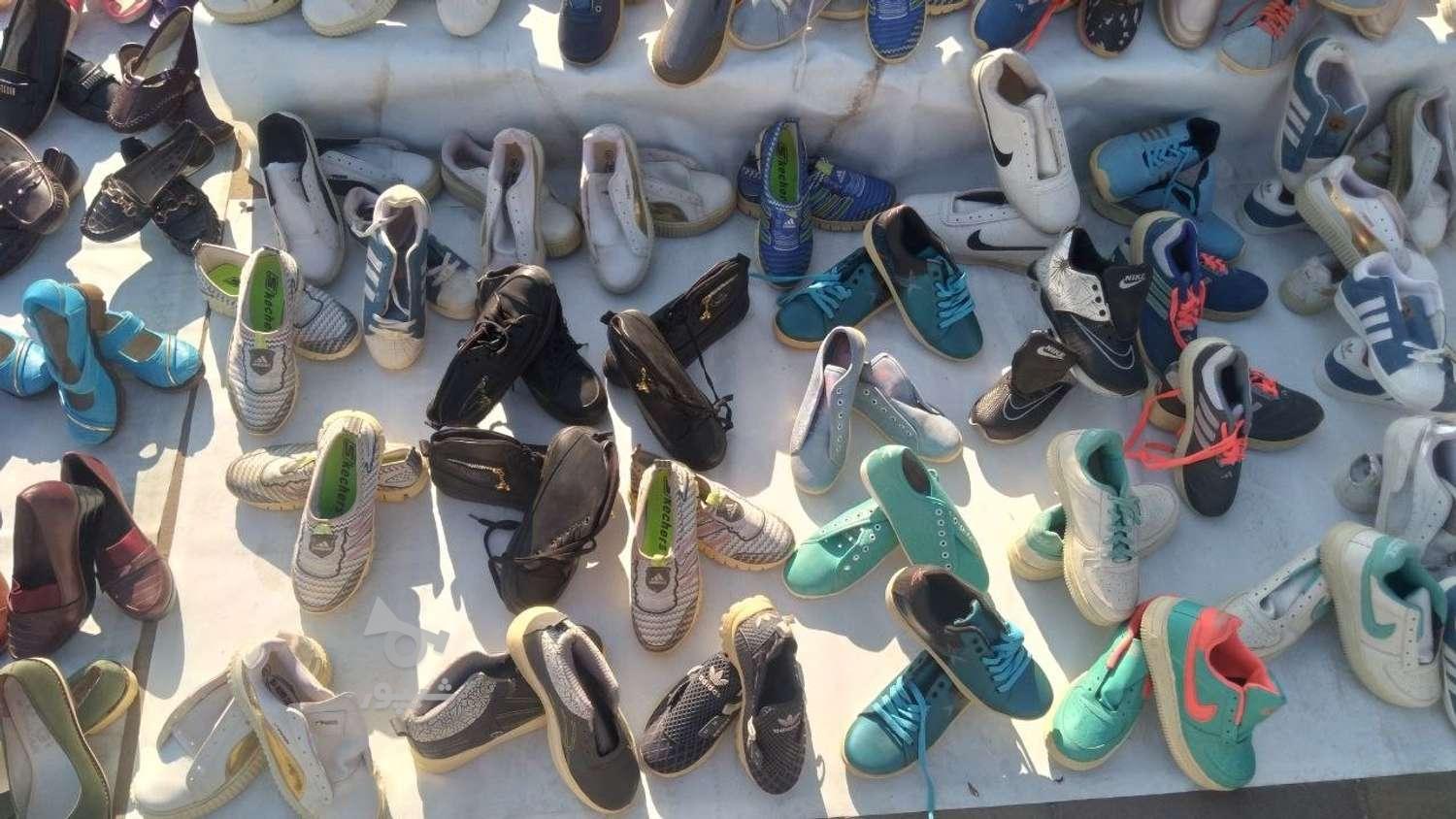 فروش حدود 240 جفت کفش نو