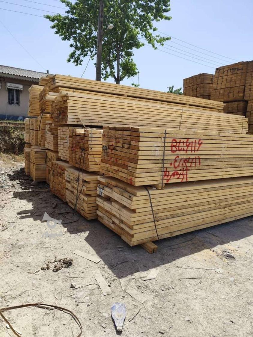 پخش عمده چوب روسی احمد اقدمی ابعاد دقیق و بدون کسر سایز