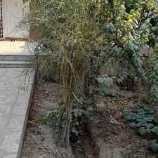 فروش زمین مسکونی 563 متر در چهارباغ