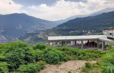 پاشاکلاه چلاو متراژ به دلخواه