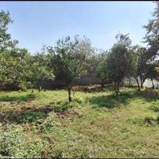 فروش زمین مسکونی 1178 متر در قادیکلا