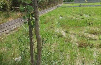 شهرک ویودار اقساطی با سند