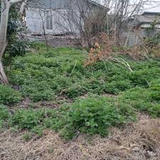 فروش زمین مسکونی 611 متر در تیسکابن