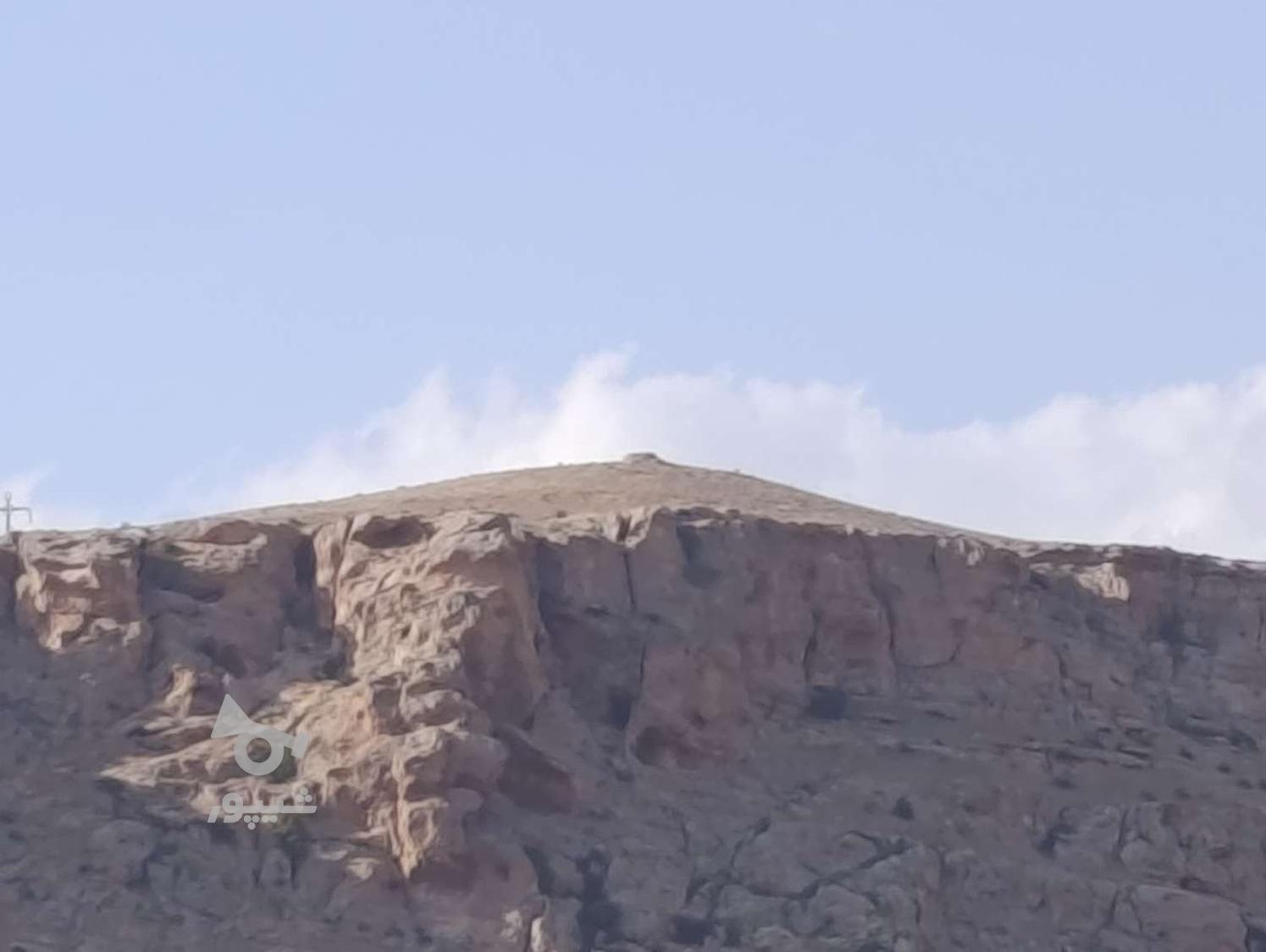 خواهان نگهبانی - undefined
