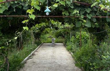 زمین 362 متر داخل بافت مسکونی بابل