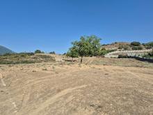 فروش زمین کشاورزی 1000 متر در شیخ محله در شیپور