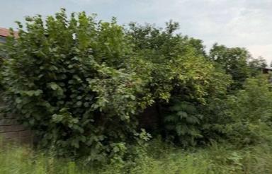 زمین شهری200متری سنددار درلشکریان سیاهکل