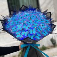 بوکت پروانه ای چراغدار