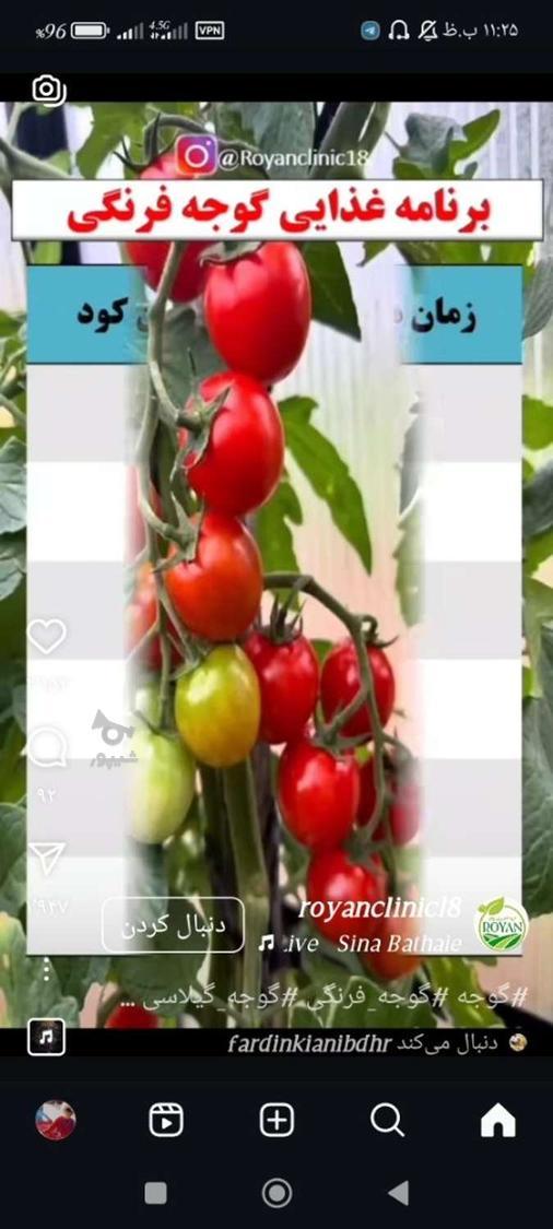 فروش رب خانگی تضمینی