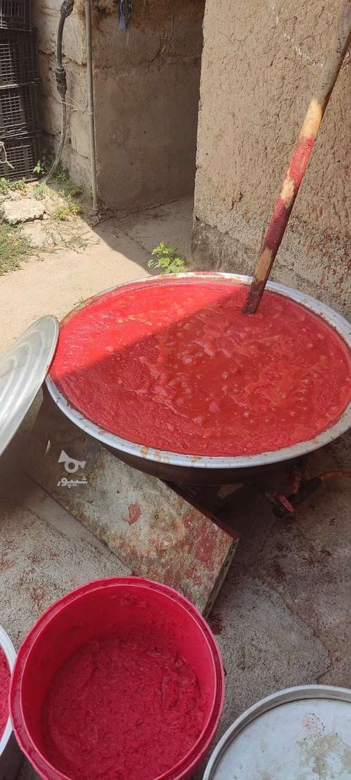 فروش رب خانگی تضمینی
