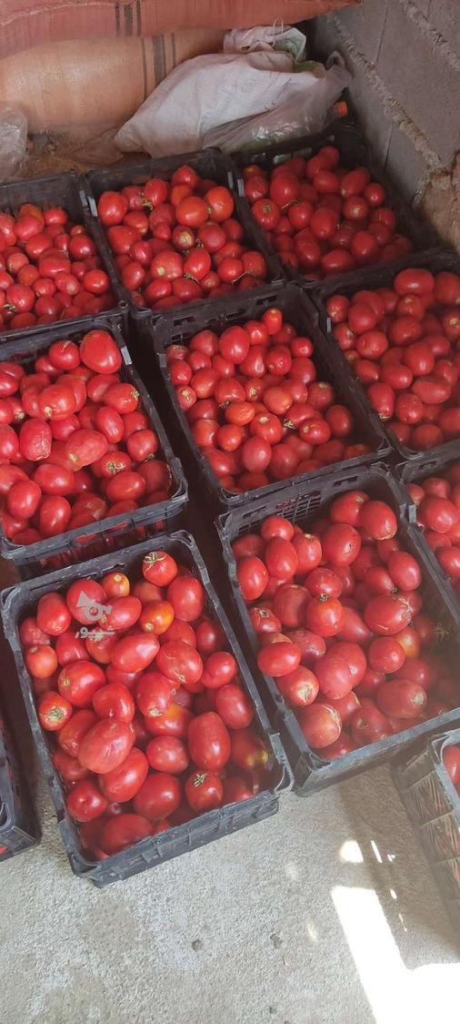 فروش رب خانگی تضمینی