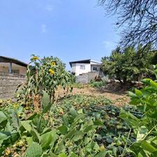 فروش زمین مسکونی 300 متر در خیابان تهران