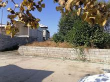 فروش زمین مسکونی 295 متر در خلخالیان کوچه کشاورز در شیپور