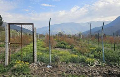 زمین باقرآباد رامیان