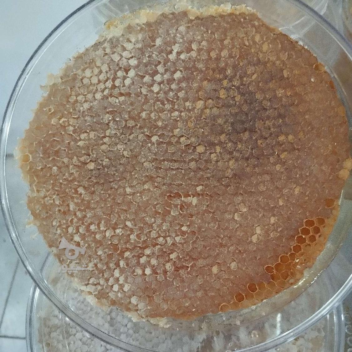 عسل طبیعی عنصرود